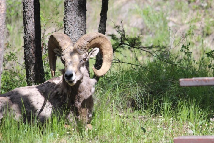 UNADJUSTEDNONRAW_thumb_22b7