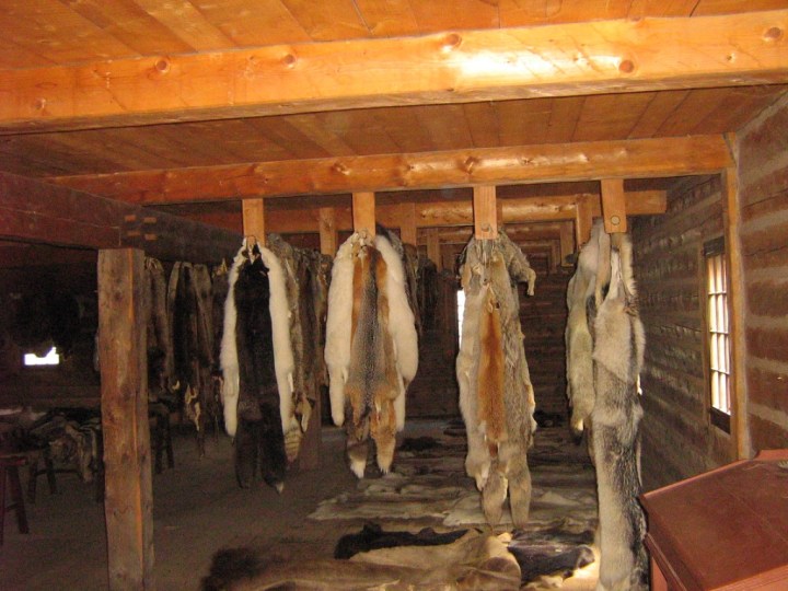 UNADJUSTEDNONRAW_thumb_2366